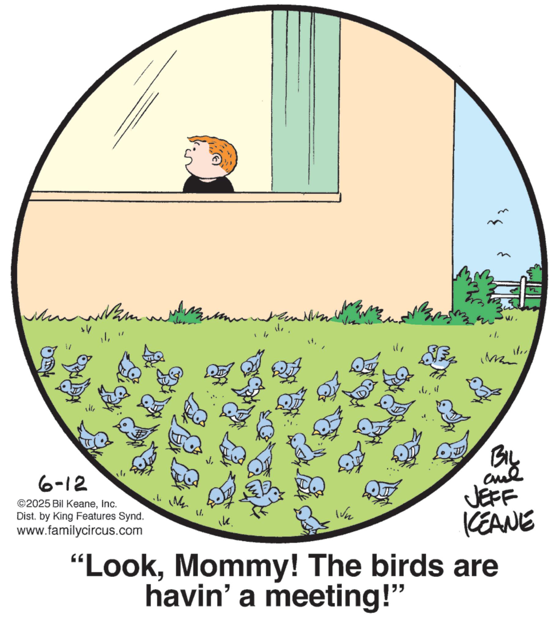 Photo caption OCR: +V 6-12 ©2025 Bil KeaneInc. Dist. by King Features Synd. www.familycircus.com Wh Wh BIL JEFF KCEANE "LookMommy! The birds are havin' a meeting!" + V 6-12 © 2025 Bil KeaneInc. Dist . by King Features Synd . www.familycircus.com Wh Wh BIL JEFF KCEANE " LookMommy ! The birds are havin ' a meeting ! "