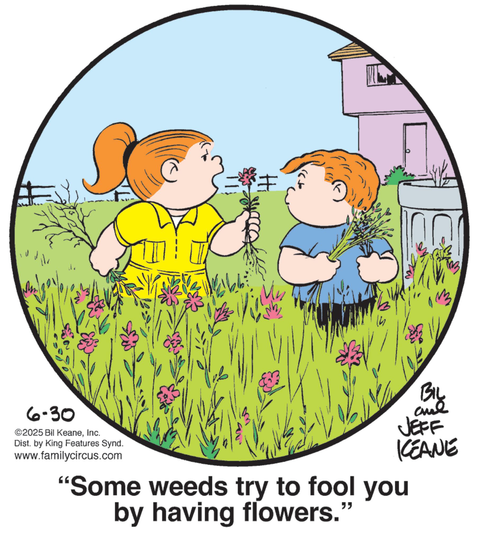 Sunflowers OCR: BIL aul JEFF KEANE 6-30 ©2025 Bil KeaneInc. Dist. by King Features Synd. www.familycircus.com "Some weeds try to fool you by having flowers.' " BIL aul JEFF KEANE 6-30 © 2025 Bil KeaneInc. Dist . by King Features Synd . www.familycircus.com " Some weeds try to fool you by having flowers . ' "