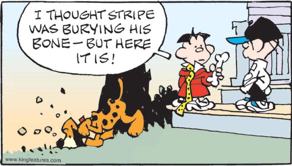 Comic book OCR: I THOUGHT STRIPE WAS BURYING HIS BONE BUT HERE IT IS! www.kingfeatures.com I THOUGHT STRIPE WAS BURYING HIS BONE BUT HERE IT IS ! www.kingfeatures.com