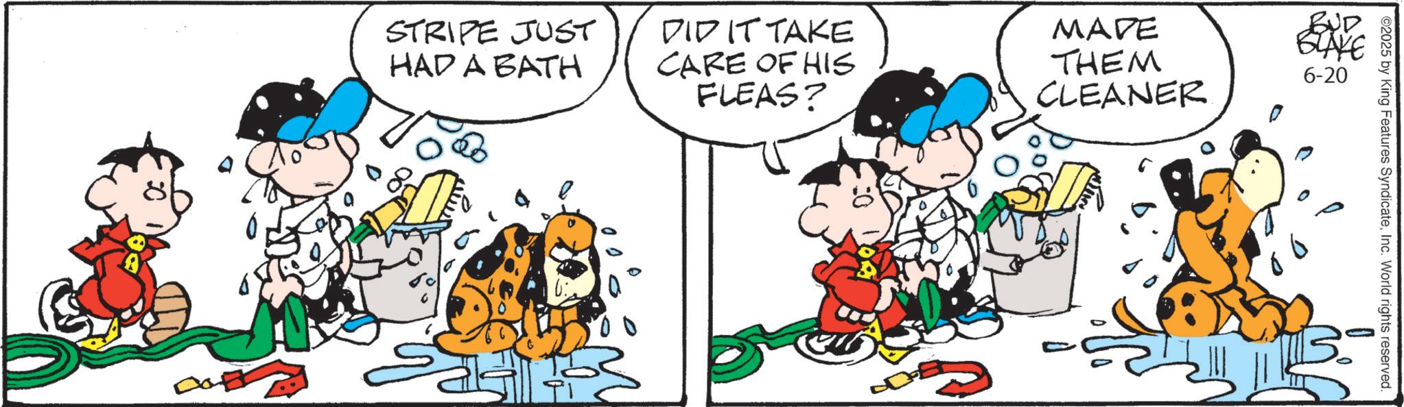 Animation OCR: STRIPE JUST HAD A BATH DID IT TAKE CARE OF HIS FLEAS? MADE THEM CLEANER. BUD BLAKE 6-20 86 2025 by King Features SyndicateInc. World rights reserved. STRIPE JUST HAD A BATH DID IT TAKE CARE OF HIS FLEAS ? MADE THEM CLEANER . BUD BLAKE 6-20 86 2025 by King Features SyndicateInc. World rights reserved .