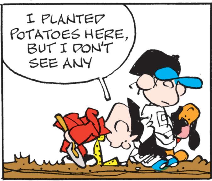 Pleased OCR: I PLANTED POTATOES HEREBUT I DON'T SEE ANY I PLANTED POTATOES HEREBUT I DON'T SEE ANY