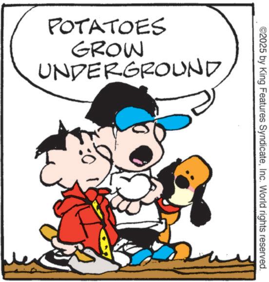 Gesture OCR: ©2025 by King Features SyndicateInc. World rights reserved. POTATOES GROW UNDERGROUND © 2025 by King Features SyndicateInc. World rights reserved . POTATOES GROW UNDERGROUND