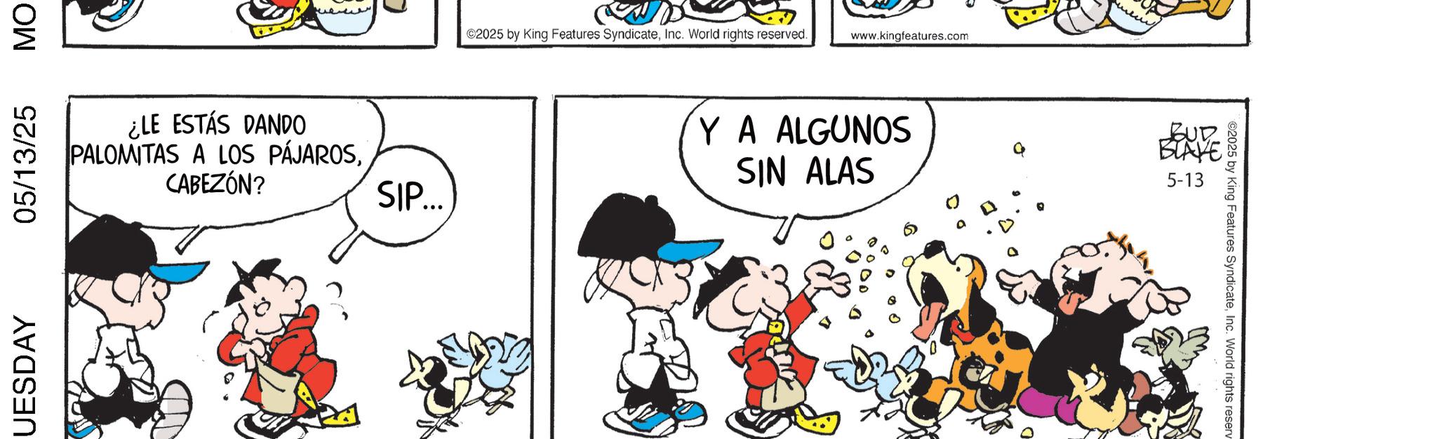 Gesture OCR: MO UESDAY 05/13/25 ¿LE ESTÁS DANDO PALOMITAS A LOS PÁJAROSCABEZÓN? SIP... ©2025 by King Features SyndicateInc. World rights reserved. www.kingfeatures.com Y A ALGUNOS SIN ALAS BUD BLAYE 5-13 2025 by King Features SyndicateInc. World rights reserv MO UESDAY 05/13/25 ¿ LE ESTÁS DANDO PALOMITAS A LOS PÁJAROSCABEZÓN ? SIP ... © 2025 by King Features SyndicateInc. World rights reserved . www.kingfeatures.com Y A ALGUNOS SIN ALAS BUD BLAYE 5-13 2025 by King Features SyndicateInc. World rights reserv
