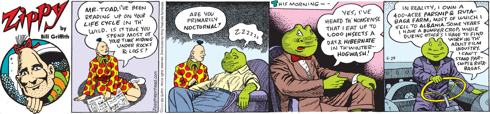 Fictional character OCR: ZAPPY. by Bill Griffith MR. TOADI'VE BEEN READING UP ON YOUR LIFE CYCLE IN TH' WILD. IS IT TRUE YOU SPEND MOST OF YOUR TIME HIDING UNDER ROCKS & LOGS? 0308 wing ??? Zippythepinhead.com 2025 Bill Griffith. World rights reserved. Distributed by King Features Syndicate. ARE YOU PRIMARILY NOCTURNAL? 222222 THIS MORNING- YESI'VE HEARD TH NONSENSE THAT I EAT UP TO 1000 INSECTS A DAY & HIBERNATE IN TH'WINTER- HOGWASH! 6.29 IN REALITYI OWN A 400-ACRE PARSNIP & RUTA- BAGA FARMMOST OF WHICH I SELL TO ALBANIA. SOME YEARS I HAVE A BUMPER CROPWHILE DURING OTHERS I HAVE TO FIND WORK IN TH' ADULT FILM INDUSTRY. I CAN'T STAND PAR- SNIPS & RUTA- BAGAS. ZAPPY . by Bill Griffith MR . TOADI'VE BEEN READING UP ON YOUR LIFE CYCLE IN TH ' WILD . IS IT TRUE YOU SPEND MOST OF YOUR TIME HIDING UNDER ROCKS & LOGS ? 0308 wing ??? Zippythepinhead.com 2025 Bill Griffith . World rights reserved . Distributed by King Features Syndicate . ARE YOU PRIMARILY NOCTURNAL ? 222222 THIS MORNING- YESI'VE HEARD TH NONSENSE THAT I EAT UP TO 1000 INSECTS A DAY & HIBERNATE IN TH'WINTER- HOGWASH ! 6.29 IN REALITYI OWN A 400 - ACRE PARSNIP & RUTA- BAGA FARMMOST OF WHICH I SELL TO ALBANIA . SOME YEARS I HAVE A BUMPER CROPWHILE DURING OTHERS I HAVE TO FIND WORK IN TH ' ADULT FILM INDUSTRY . I CAN'T STAND PAR- SNIPS & RUTA- BAGAS .