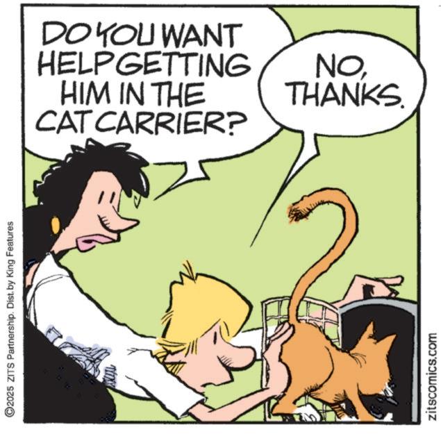 Animation OCR: ©2025 ZITS Partnership. Dist. by King Features zitscomics.com DO YOU WANT HELPGETTING HIM IN THE CAT CARRIER? NOTHANKS. © 2025 ZITS Partnership . Dist . by King Features zitscomics.com DO YOU WANT HELPGETTING HIM IN THE CAT CARRIER ? NOTHANKS .
