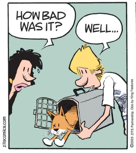 Comics OCR: zitscomics.com WAS IT? HOW BAD WELL... ©2025 ZITS Partnership. Dist. by King Features zitscomics.com WAS IT ? HOW BAD WELL ... © 2025 ZITS Partnership . Dist . by King Features