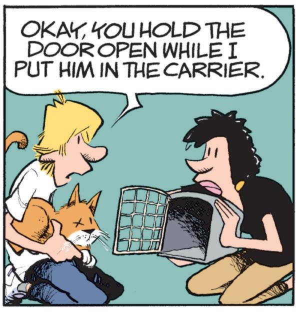 Photo caption OCR: OKAYYOU HOLD THE DOOR OPEN WHILE I PUT HIM IN THE CARRIER. OKAYYOU HOLD THE DOOR OPEN WHILE I PUT HIM IN THE CARRIER .
