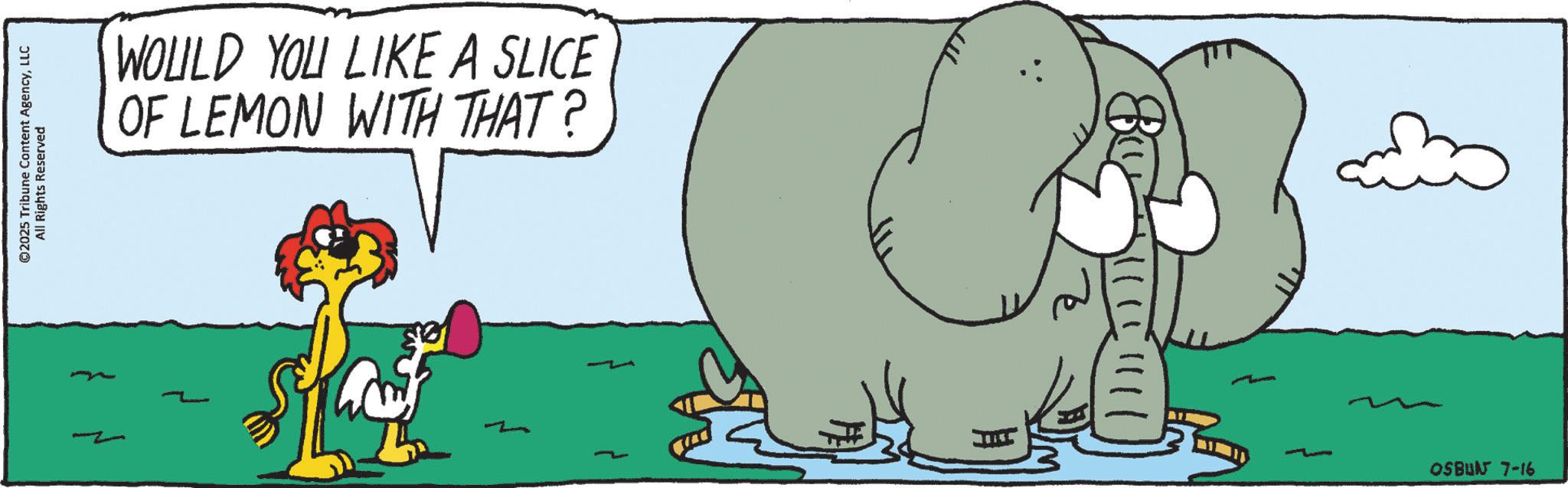 Tail OCR: ©2025 Tribune Content AgencyLLC All Rights Reserved WOULD YOU LIKE A SLICE OF LEMON WITH THAT? 1111 OSBUN 7-16 © 2025 Tribune Content AgencyLLC All Rights Reserved WOULD YOU LIKE A SLICE OF LEMON WITH THAT ? 1111 OSBUN 7-16