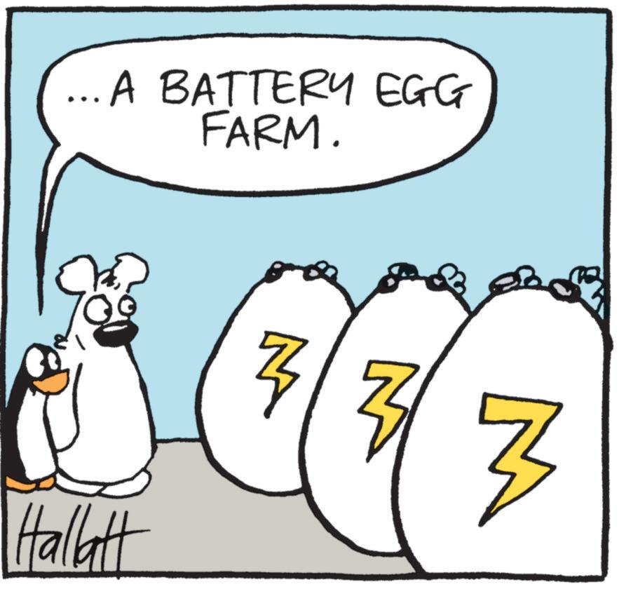 Animation OCR: .A BATTERY EGG FARM. Hallatt Z N M .A BATTERY EGG FARM . Hallatt Z N M