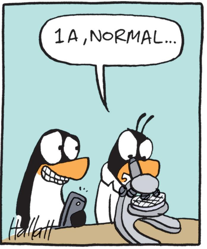 Fiction OCR: Hallatt 1ANORMAL... Hallatt 1ANORMAL ...