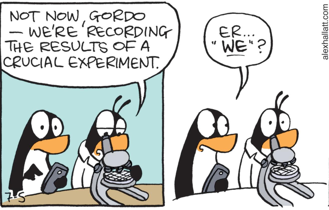 Animated cartoon OCR: 7.5 NOT NOWGORDO - WE'RE RECORDING THE RESULTS OF A CRUCIAL EXPERIMENT. " ER... WE"? alexhallatt.com 7.5 NOT NOWGORDO - WE'RE RECORDING THE RESULTS OF A CRUCIAL EXPERIMENT . " ER ... WE " ? alexhallatt.com
