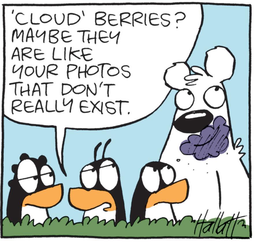 Fictional character OCR: 'CLOUD' BERRIES? MAYBE THEY ARE LIKE YOUR PHOTOS THAT DON'T REALLY EXIST. Hallett ' CLOUD ' BERRIES ? MAYBE THEY ARE LIKE YOUR PHOTOS THAT DON'T REALLY EXIST . Hallett