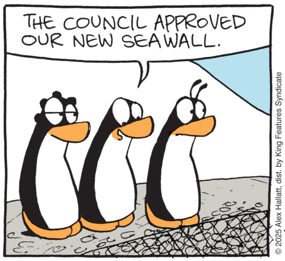 Animation OCR: 3 ??? 029 2025 Alex Hallattdist. by King Features Syndicate OUR NEW SEAWALL. THE COUNCIL APPROVED 3 ??? 029 2025 Alex Hallattdist . by King Features Syndicate OUR NEW SEAWALL . THE COUNCIL APPROVED