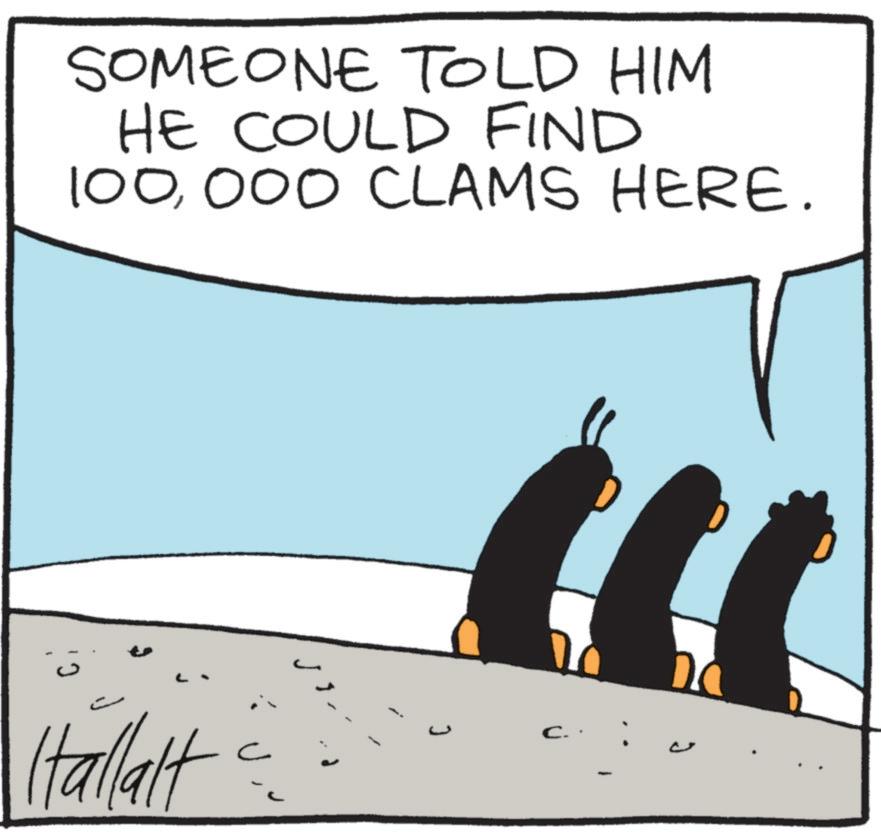 Photo caption OCR: SOMEONE TOLD HIM HE COULD FIND 100000 CLAMS HERE. Hallalt C. Da SOMEONE TOLD HIM HE COULD FIND 100000 CLAMS HERE . Hallalt C. Da