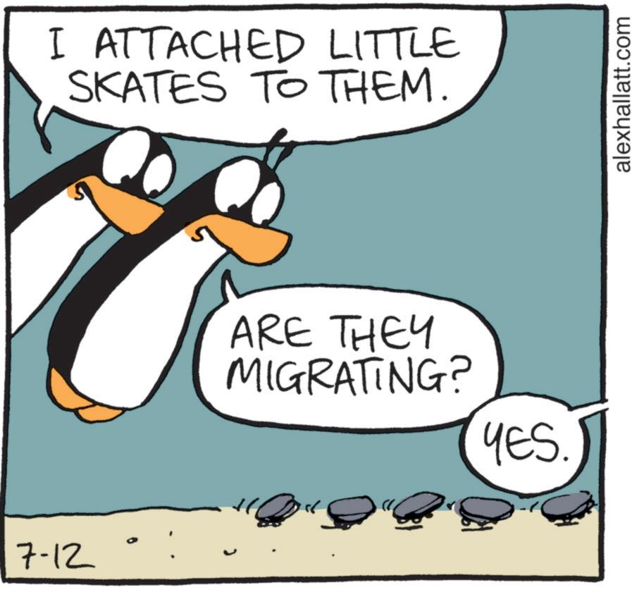 Fiction OCR: 7-12 I ATTACHED LITTLE SKATES TO THEM. ARE THEY MIGRATING? YES. alexhallatt.com 7-12 I ATTACHED LITTLE SKATES TO THEM . ARE THEY MIGRATING ? YES . alexhallatt.com