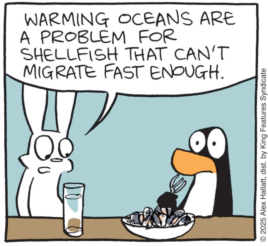 Graphics OCR: WARMING OCEANS ARE A PROBLEM FOR SHELLFISH THAT CAN'T MIGRATE FAST ENOUGH. O2025 Alex Hallattdist. by King Features Syndicate WARMING OCEANS ARE A PROBLEM FOR SHELLFISH THAT CAN'T MIGRATE FAST ENOUGH . O2025 Alex Hallattdist . by King Features Syndicate
