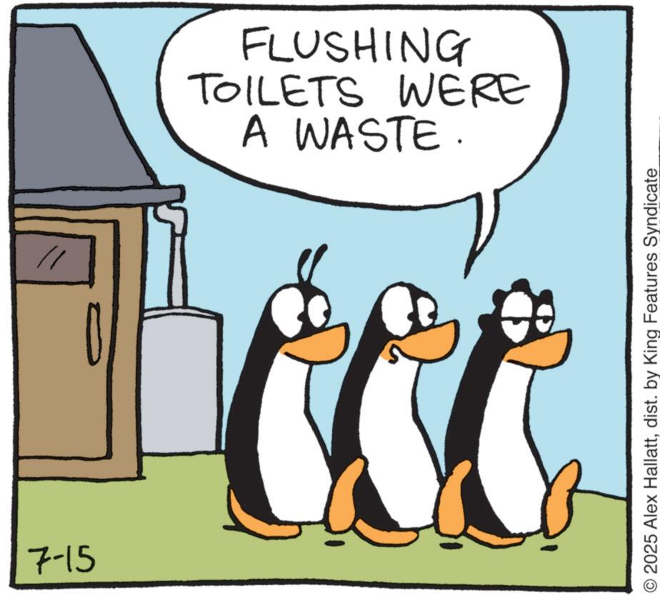 Penguin OCR: 7-15 A WASTE. TOILETS WERE FLUSHING O2025 Alex Hallattdist. by King Features Syndicate 7-15 A WASTE . TOILETS WERE FLUSHING O2025 Alex Hallattdist . by King Features Syndicate