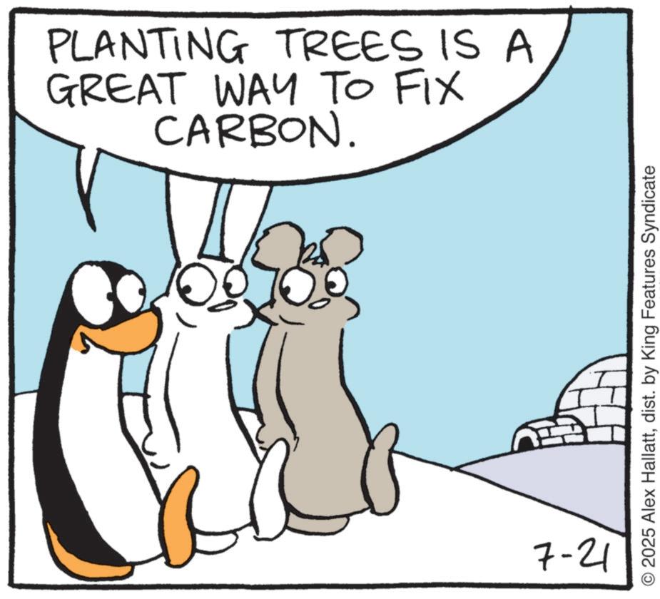 Fiction OCR: PLANTING TREES IS A GREAT WAY TO FIX CARBON. 0 7-21 2025 Alex Hallattdist. by King Features Syndicate PLANTING TREES IS A GREAT WAY TO FIX CARBON . 0 7-21 2025 Alex Hallattdist . by King Features Syndicate
