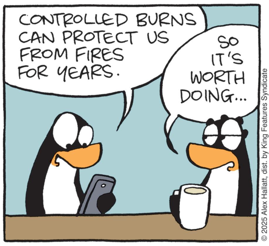 Photo caption OCR: CONTROLLED BURNS CAN PROTECT US FROM FIRES FOR YEARS. So IT'S WORTH DOING... © 2025 Alex Hallattdist. by King Features Syndicate CONTROLLED BURNS CAN PROTECT US FROM FIRES FOR YEARS . So IT'S WORTH DOING ... © 2025 Alex Hallattdist . by King Features Syndicate