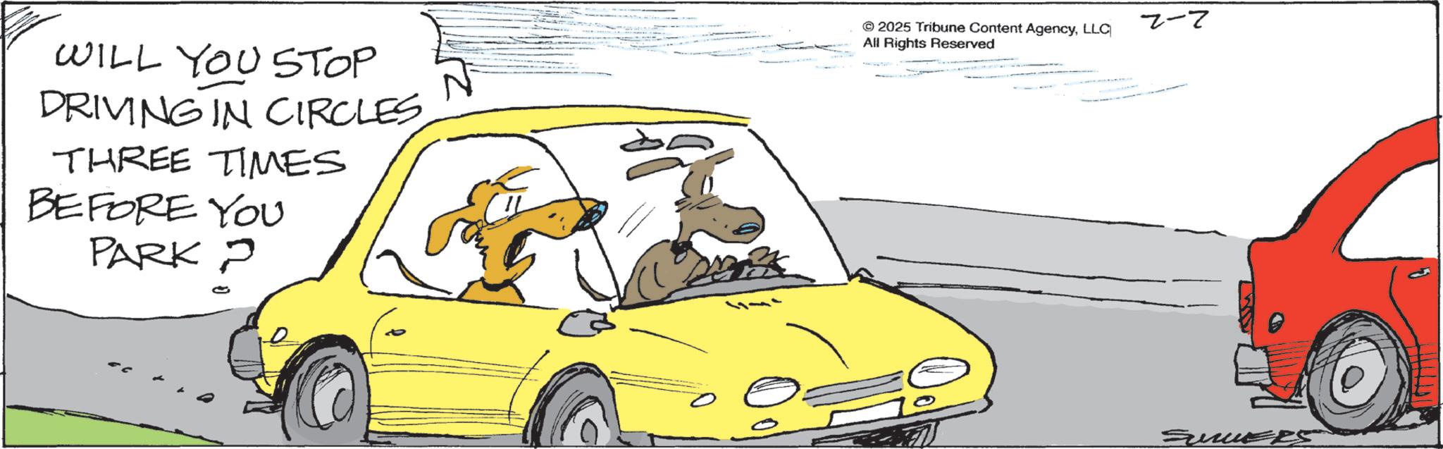 Animated cartoon OCR: WILL YOU STOP DRIVING IN CIRCLESTHREE TIMES BEFORE YOU PARK 2 © 2025 Tribune Content AgencyLLC All Rights Reserved 2-7 SuruceS WILL YOU STOP DRIVING IN CIRCLESTHREE TIMES BEFORE YOU PARK 2 © 2025 Tribune Content AgencyLLC All Rights Reserved 2-7 SuruceS