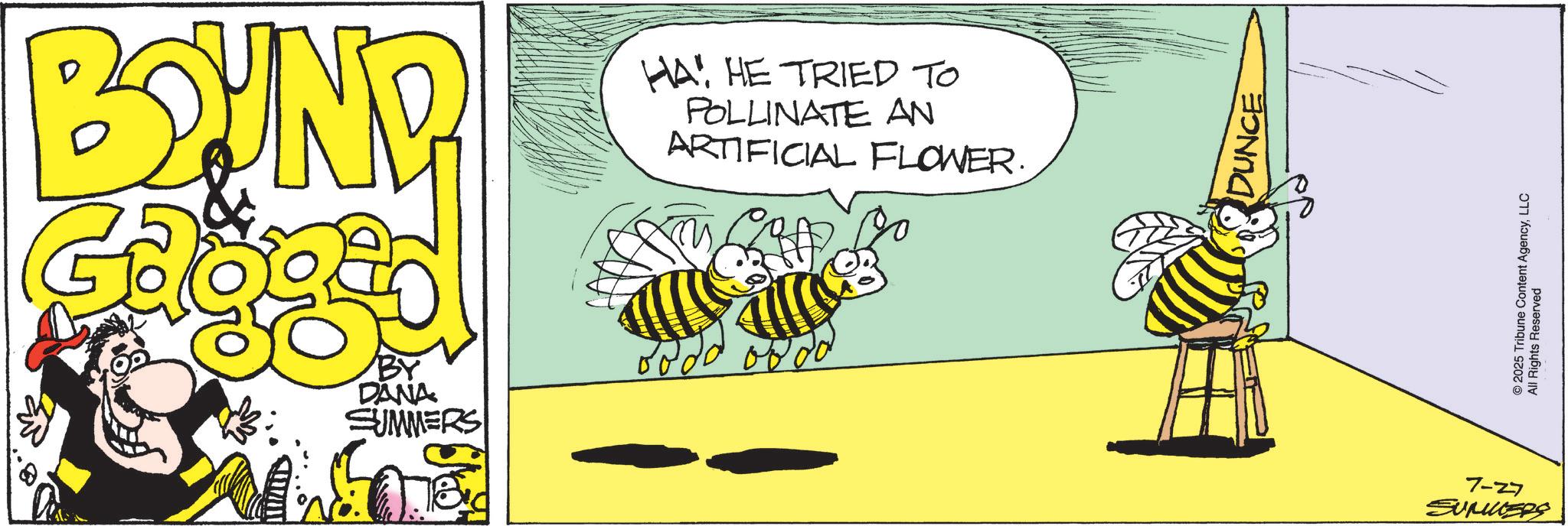Pollinator OCR: BOUND Gagge BY DANA SUMMERS HA HE TRIED TO POLLINATE AN ARTIFICIAL FLOWER. ??? DUNCE 7-27 SUMMERS 2025 Tribune Content AgencyLLC All Rights Reserved BOUND Gagge BY DANA SUMMERS HA HE TRIED TO POLLINATE AN ARTIFICIAL FLOWER . ??? DUNCE 7-27 SUMMERS 2025 Tribune Content AgencyLLC All Rights Reserved