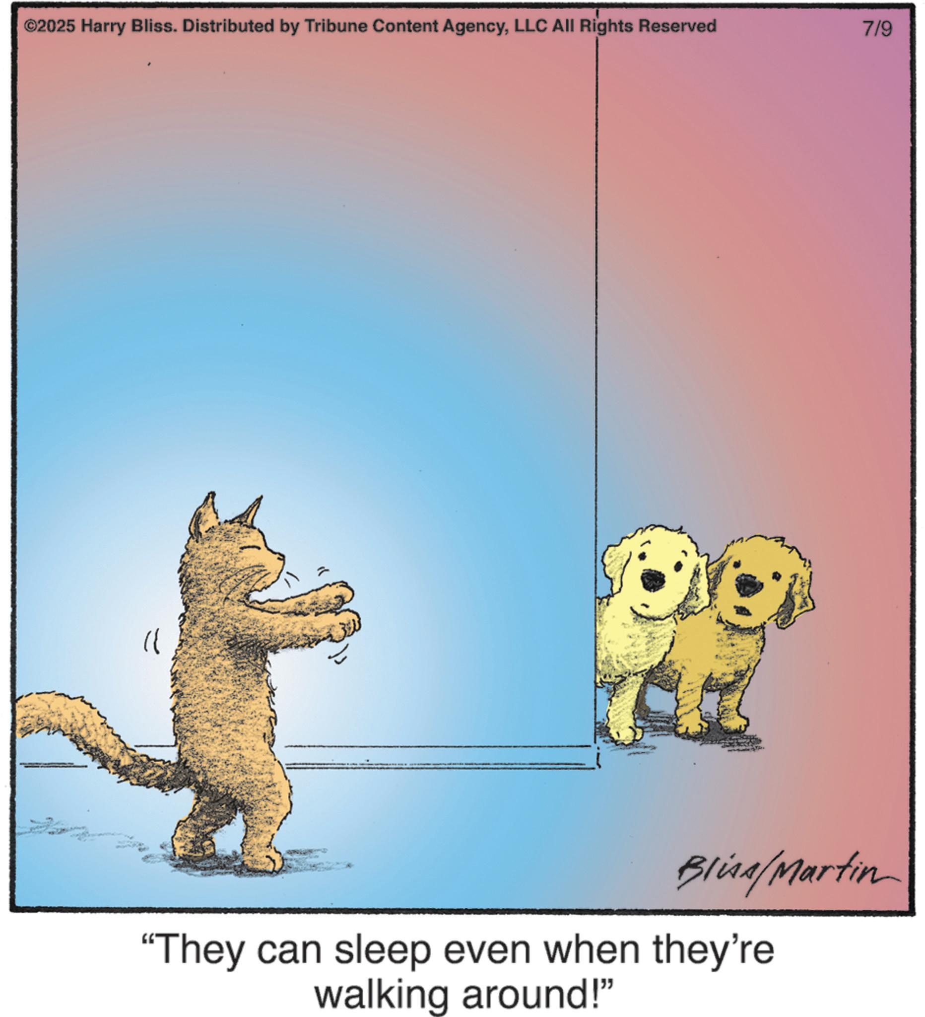 Fiction OCR: ©2025 Harry Bliss. Distributed by Tribune Content AgencyLLC All Rights Reserved 7/9 Bliss/Martin "They can sleep even when they're walking around!" © 2025 Harry Bliss . Distributed by Tribune Content AgencyLLC All Rights Reserved 7/9 Bliss / Martin " They can sleep even when they're walking around ! "