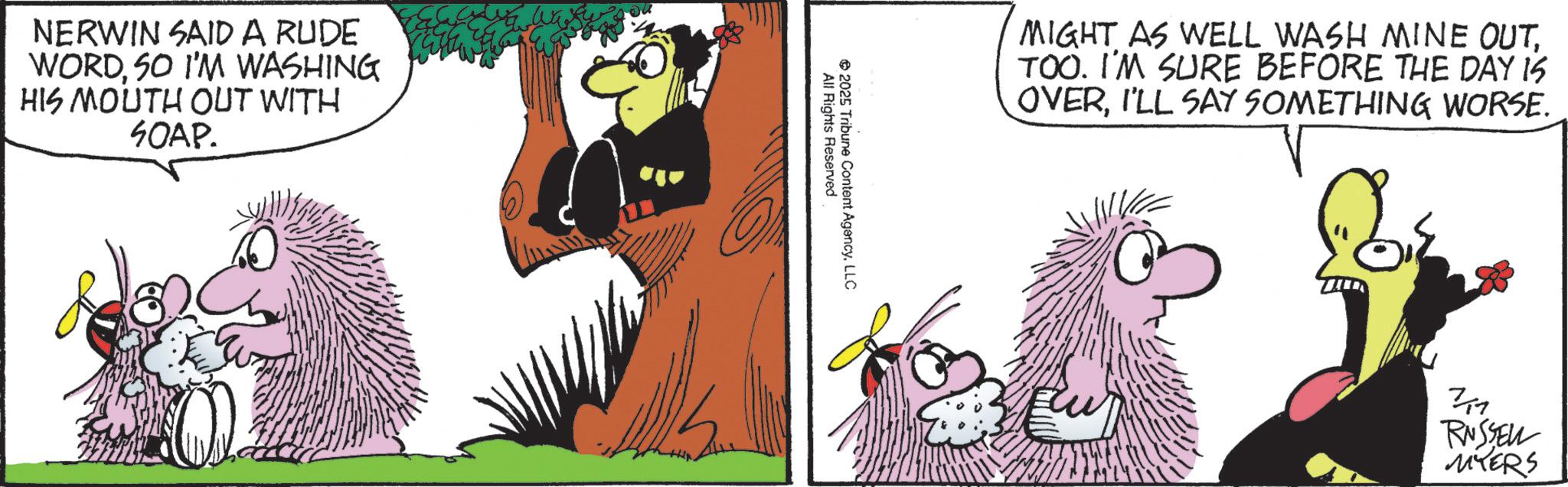 Animated cartoon OCR: NERWIN SAID A RUDE WORD50 I'M WASHING HIS MOUTH OUT WITH SOAP. 60 2025 All Rights Reserved Tribune Content AgencyLLC MIGHT AS WELL WASH MINE OUTTOO. I'M SURE BEFORE THE DAY IS OVERI'LL SAY SOMETHING WORSE. 311 RUSSELL MYERS NERWIN SAID A RUDE WORD50 I'M WASHING HIS MOUTH OUT WITH SOAP . 60 2025 All Rights Reserved Tribune Content AgencyLLC MIGHT AS WELL WASH MINE OUTTOO . I'M SURE BEFORE THE DAY IS OVERI'LL SAY SOMETHING WORSE . 311 RUSSELL MYERS