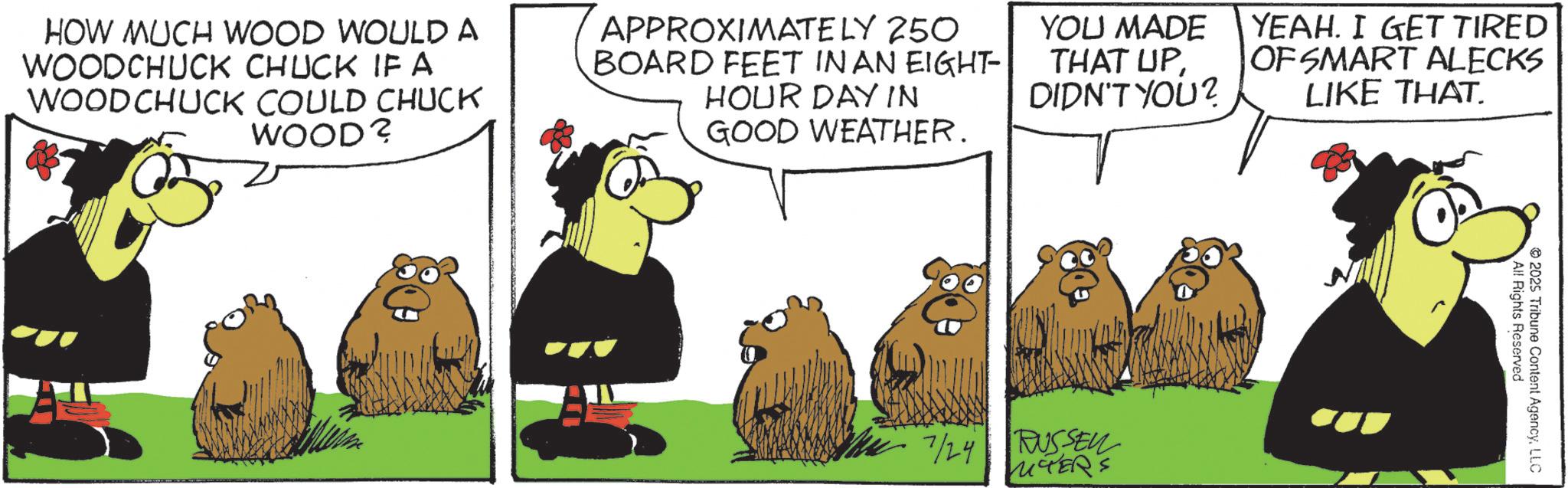 Comics OCR: HOW MUCH WOOD WOULD A WOODCHUCK CHUCK IF A WOODCHUCK COULD CHUCK WOOD? APPROXIMATELY 250 BOARD FEET IN AN EIGHT- HOUR DAY IN GOOD WEATHER. YOU MADE THAT UP DIDN'T YOU? YEAH. I GET TIRED OF SMART ALECKS LIKE THAT. 7/24 RUSSEL MTERS All Rights Reserved 2025 Tribune Content AgencyLLC HOW MUCH WOOD WOULD A WOODCHUCK CHUCK IF A WOODCHUCK COULD CHUCK WOOD ? APPROXIMATELY 250 BOARD FEET IN AN EIGHT- HOUR DAY IN GOOD WEATHER . YOU MADE THAT UP DIDN'T YOU ? YEAH . I GET TIRED OF SMART ALECKS LIKE THAT . 7/24 RUSSEL MTERS All Rights Reserved 2025 Tribune Content Agency