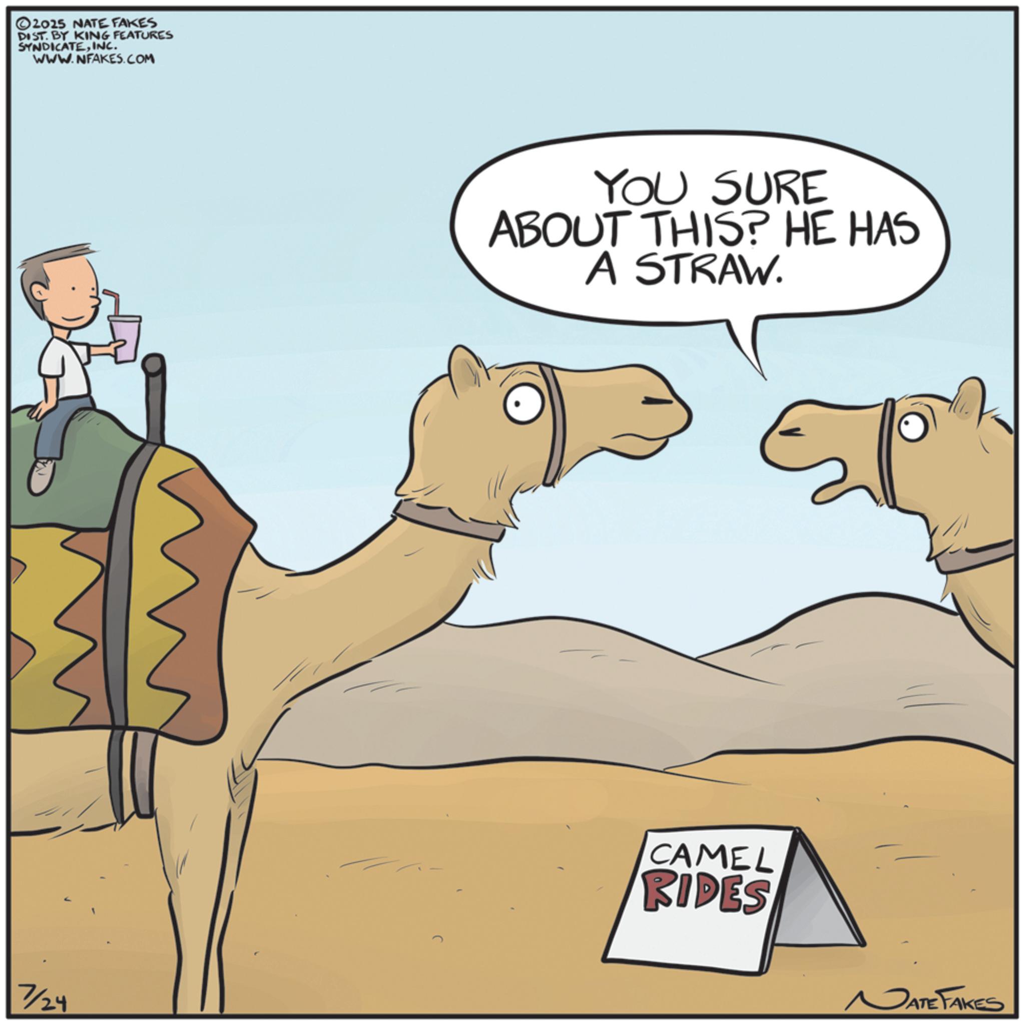 Clip art OCR: 2025 NATE FAKES DIST. BY KING FEATURES SYNDICATEINC. WWW.NFAKES.COM 7/24 YOU SURE ABOUT THIS? HE HAS A STRAW. CAMEL RIDES NATE FAKES 2025 NATE FAKES DIST . BY KING FEATURES SYNDICATEINC . WWW.NFAKES.COM 7/24 YOU SURE ABOUT THIS ? HE HAS A STRAW . CAMEL RIDES NATE FAKES