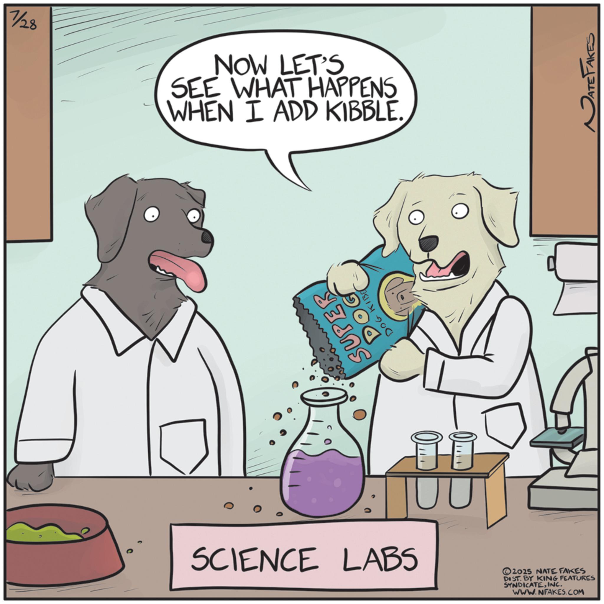 Photo caption OCR: 7/28 NOW LET'S SEE WHAT HAPPENS WHEN I ADD KIBBLE. SUPER DOG DOG KIBE SCIENCE LABS 2025 NATE FAKES DIST. BY KING FEATURES SYNDICATEINC. WWW.NFAKES.COM ATE TAKES 7/28 NOW LET'S SEE WHAT HAPPENS WHEN I ADD KIBBLE . SUPER DOG DOG KIBE SCIENCE LABS 2025 NATE FAKES DIST . BY KING FEATURES SYNDICATEINC . WWW.NFAKES.COM ATE TAKES