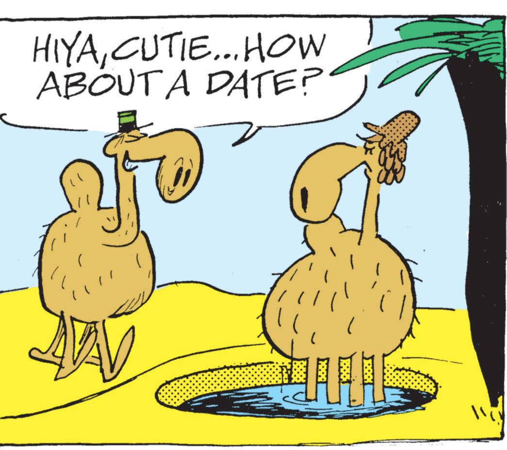 Animated cartoon OCR: HIYACUTIE... HOW ABOUT A DATE? AFA 11 HIYACUTIE ... HOW ABOUT A DATE ? AFA 11