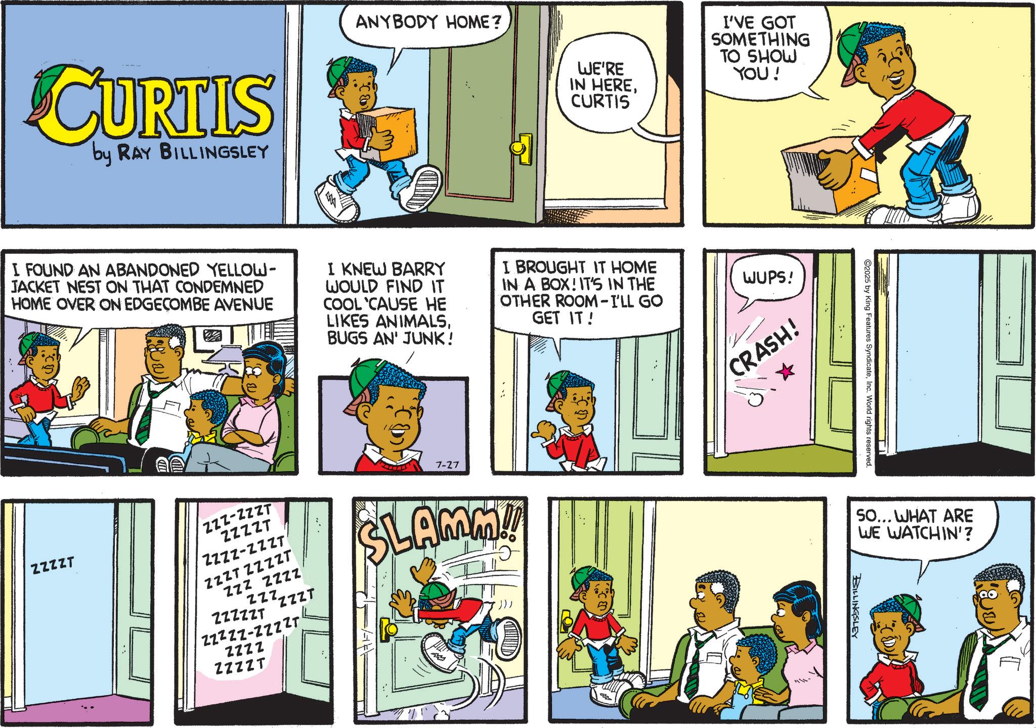 Publication OCR: CURTIS by RAY BILLINGSLEY ANYBODY HOME? WE'RE IN HERECURTIS I'VE GOT SOMETHING TO SHOW YOU! I FOUND AN ABANDONED YELLOW- JACKET NEST ON THAT CONDEMNED HOME OVER ON EDGECOMBE AVENUE I KNEW BARRY WOULD FIND IT COOL 'CAUSE HE LIKES ANIMALSBUGS AN' JUNK! I BROUGHT IT HOME IN A BOX! IT'S IN THE OTHER ROOM - I'LL GO GET IT! ZZZZT ZZZ-ZZZT ZZZZT ZZZZ-ZZZT ZZZTZZZZT ZZZ ZZZZ ZZZ 'ZZZT ZZZZZT ZZZZZ-ZZZZT 7-27 SLAMM!! ZZZZ ZZZZT WUPS! CRASH! 2025 by King Features SyndicateInc. World rights reserved. SO... WHAT ARE WE WATCHIN'? BILLINGSLEY CURTIS by RAY BILLINGSLEY ANYBODY HOME ? WE'RE IN HERECURTIS I'VE GOT SOMETHING TO SHOW YOU ! I FOUND AN ABANDONED YELLOW- JACKET NEST ON THAT CONDEMNED HOME OVER ON EDGECOMBE AVENUE I KNEW BARRY WOULD FIND IT COOL ' CAUSE HE LIKES ANIMALSBUGS AN ' JUNK ! I BROUGHT IT HOME IN A BOX ! IT'S IN THE OTHER ROOM - I'LL GO GET IT ! ZZZZT ZZZ - ZZZT ZZZZT ZZZZ - ZZZT ZZZTZZZZT ZZZ ZZZZ ZZZ ' ZZZT ZZZZZT ZZZZZ - ZZZZT 7-27 SLAMM !! ZZZZ ZZZZT WUPS ! CRASH ! 2025 by King Features SyndicateInc. World rights reserved . SO ... WHAT ARE WE WATCHIN ' ? BILLINGSLEY