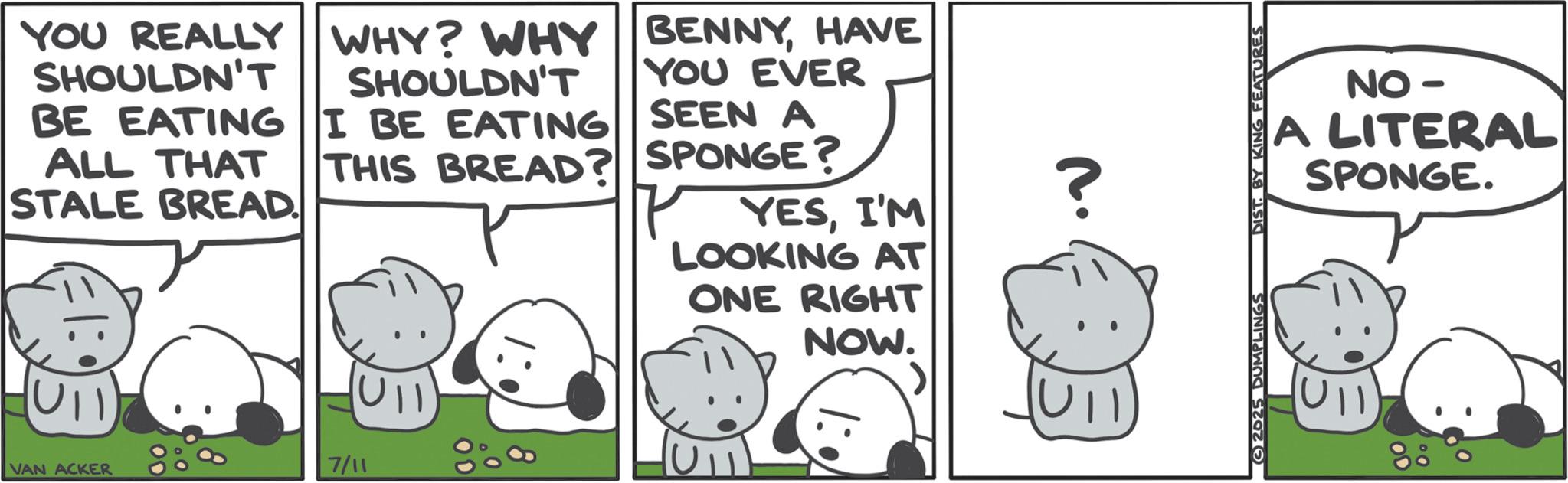 Animated cartoon OCR: YOU REALLY WHY? WHY SHOULDN'T SHOULDN'T BENNYHAVE YOU EVER SEEN A BE EATING I BE EATING ALL THAT THIS BREAD? SPONGE? STALE BREAD YESI'M LOOKING AT ONE RIGHT NOW. 886 VAN ACKER 7/11 888 11:0 ? •? 2025 DUMPLINGS DIST. BY KING FEATURES NO - A LITERAL SPONGE. YOU REALLY WHY ? WHY SHOULDN'T SHOULDN'T BENNYHAVE YOU EVER SEEN A BE EATING I BE EATING ALL THAT THIS BREAD ? SPONGE ? STALE BREAD YESI'M LOOKING AT ONE RIGHT NOW . 886 VAN ACKER 7/11 888 11 : 0 ? • ? 2025 DUMPLINGS DIST . BY KING FEATURES NO - A LITERAL SPONGE .