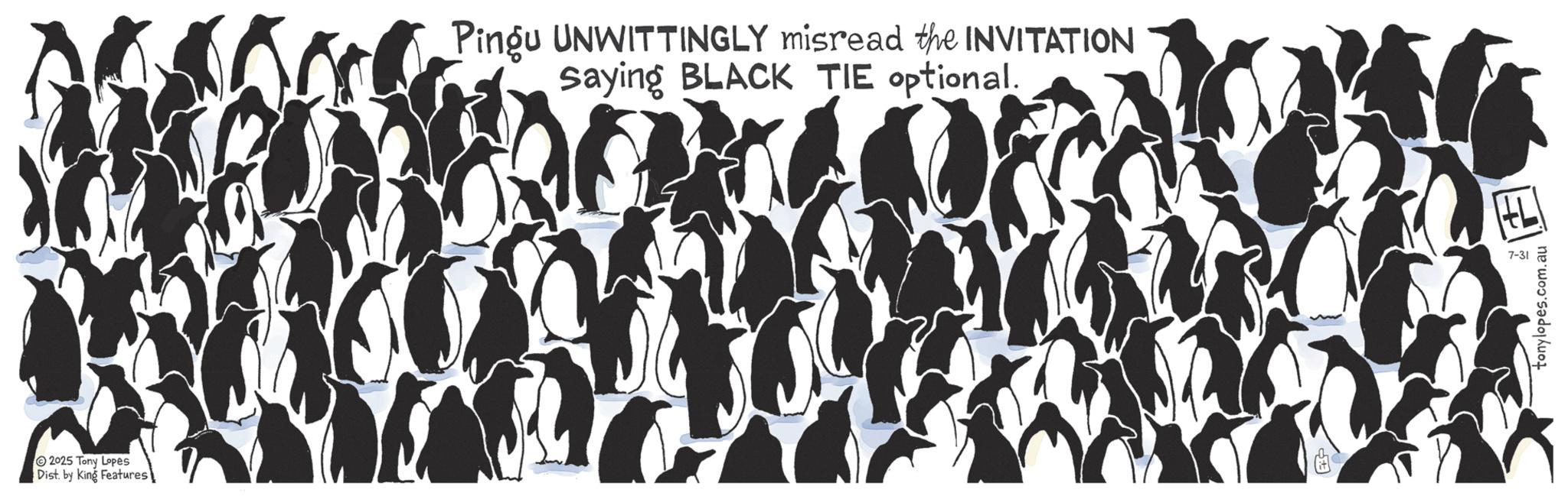 Adélie penguin OCR: 2025 Tony Lopes Dist. by King Features Pingu UNWITTINGLY misread the INVITATION Saying BLACK TIE optional. 7-31 2025 Tony Lopes Dist . by King Features Pingu UNWITTINGLY misread the INVITATION Saying BLACK TIE optional . 7-31