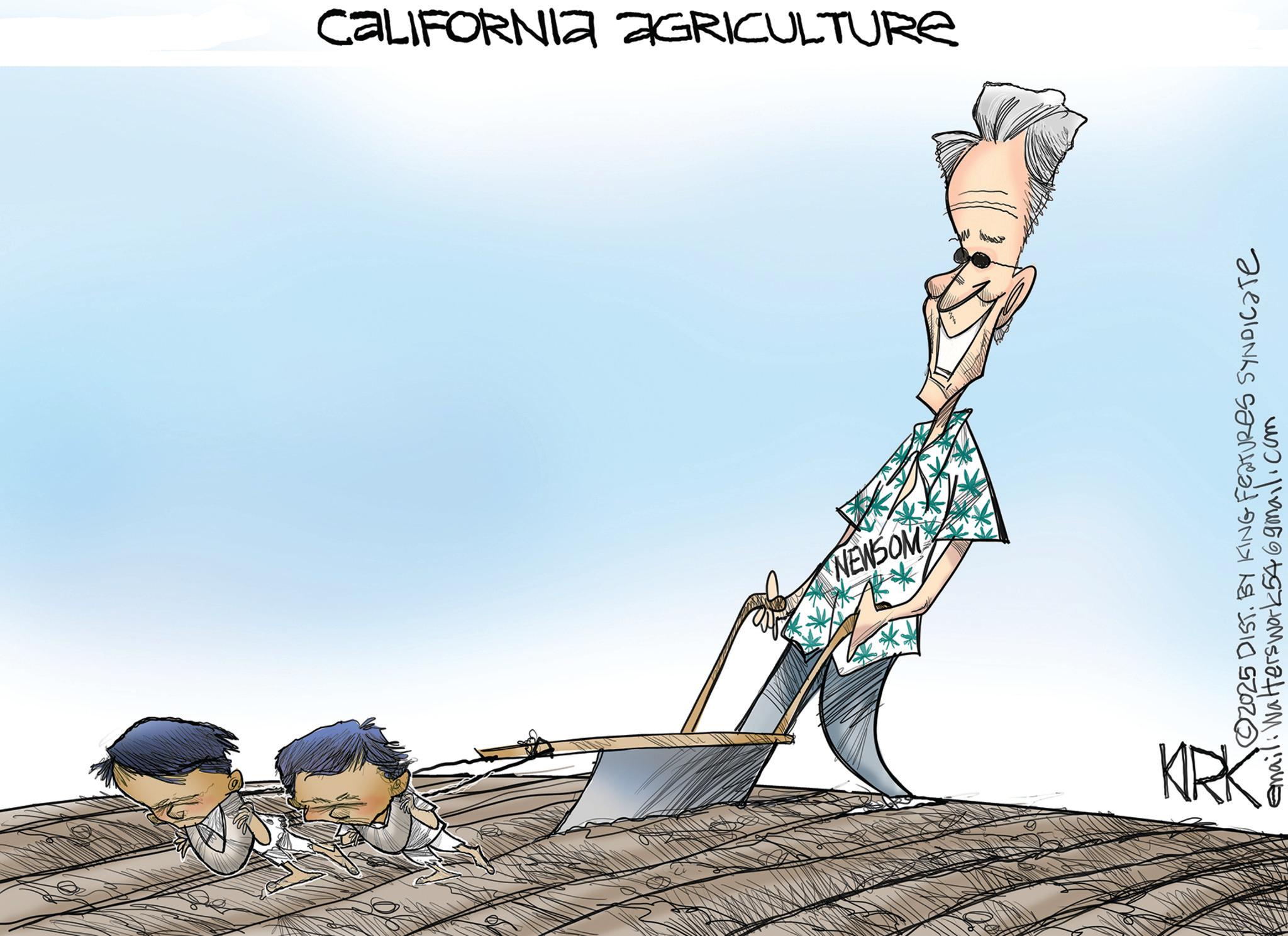 Clip art OCR: CALIFORNIA AGRICULTURE NEWSOM KIRK ©2025 DIST. BY KING FEATURES SYNDICATE email: Walters work546gmail.com CALIFORNIA AGRICULTURE NEWSOM KIRK © 2025 DIST . BY KING FEATURES SYNDICATE email : Walters work546gmail.com