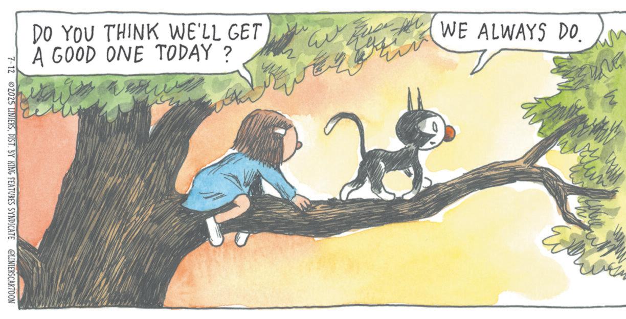 Child OCR: DO YOU THINK WE'LL GET A GOOD ONE TODAY? WE ALWAYS DO. om 7-12 2025 LINIERSDIST. BY KING FEATURES SYNDICATE @LINIERSCARTOON ???? DO YOU THINK WE'LL GET A GOOD ONE TODAY ? WE ALWAYS DO . om 7-12 2025 LINIERSDIST . BY KING FEATURES SYNDICATE @LINIERSCARTOON ????