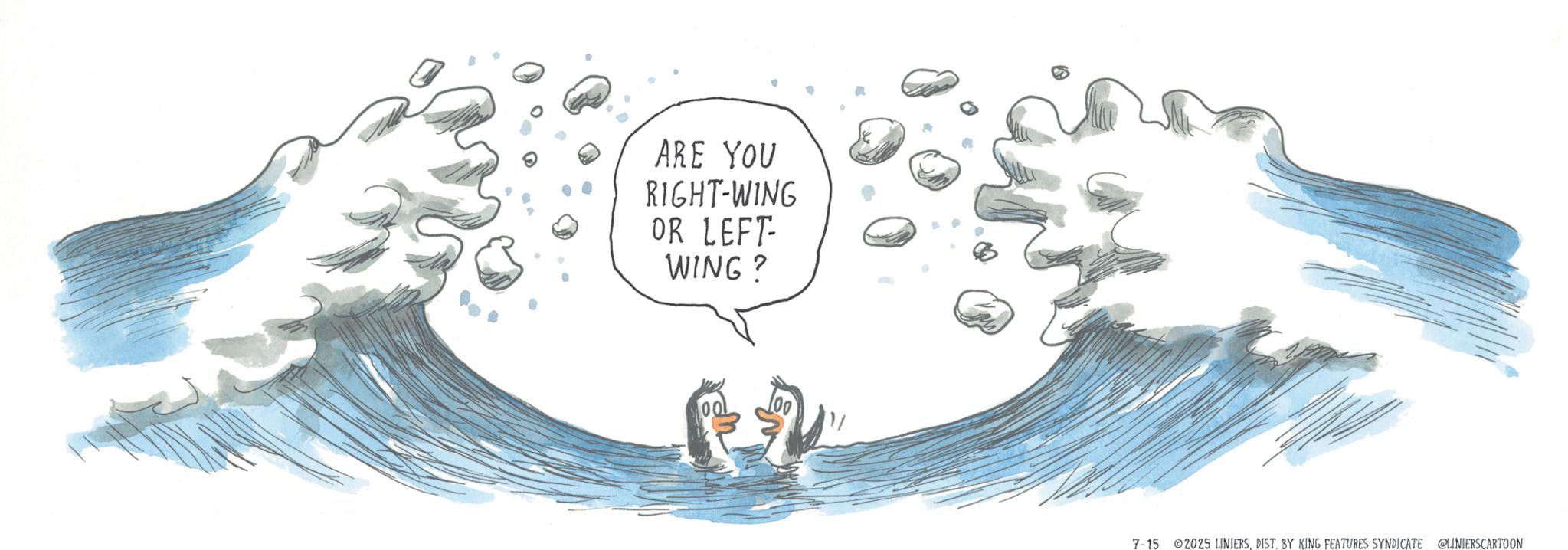 Graphics OCR: ARE YOU RIGHT-WING OR LEFT- WING? 7-15 2025 LINIERSDIST. BY KING FEATURES SYNDICATE @LINIERSCARTOON ARE YOU RIGHT - WING OR LEFT- WING ? 7-15 2025 LINIERSDIST . BY KING FEATURES SYNDICATE @LINIERSCARTOON