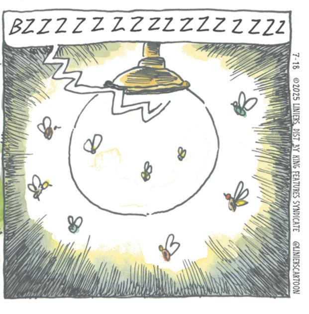 Ink OCR: BZZZZZZZzzzzzzzzz ?? ?? 7-18 2025 LINIERSDIST. BY KING FEATURES SYNDICATE @LINIERSCARTOON BZZZZZZZzzzzzzzzz ?? ?? 7-18 2025 LINIERSDIST . BY KING FEATURES SYNDICATE @LINIERSCARTOON