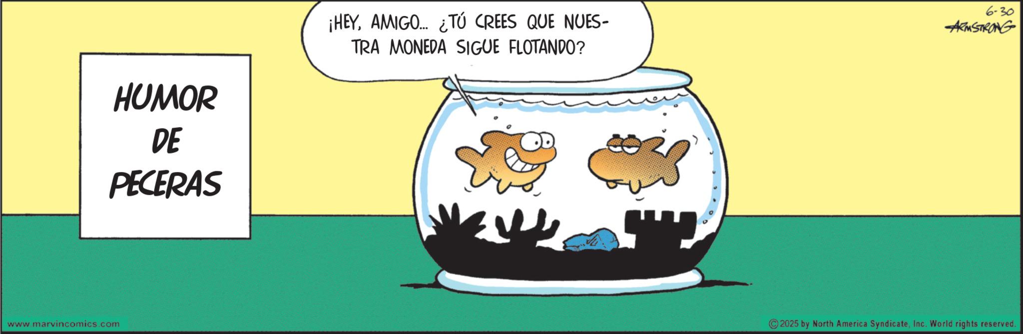 Photo caption OCR: HUMOR DE PECERAS ¡HEYAMIGO... ¿TÚ CREES QUE NUES- TRA MONEDA SIGUE FLOTANDO? 6-30 ARMSTRONG www.marvincomics.com 2025 by North America SyndicateInc. World rights reserved. HUMOR DE PECERAS ¡ HEYAMIGO ... ¿ TÚ CREES QUE NUES- TRA MONEDA SIGUE FLOTANDO ? 6-30 ARMSTRONG www.marvincomics.com 2025 by North America SyndicateInc. World rights reserved .