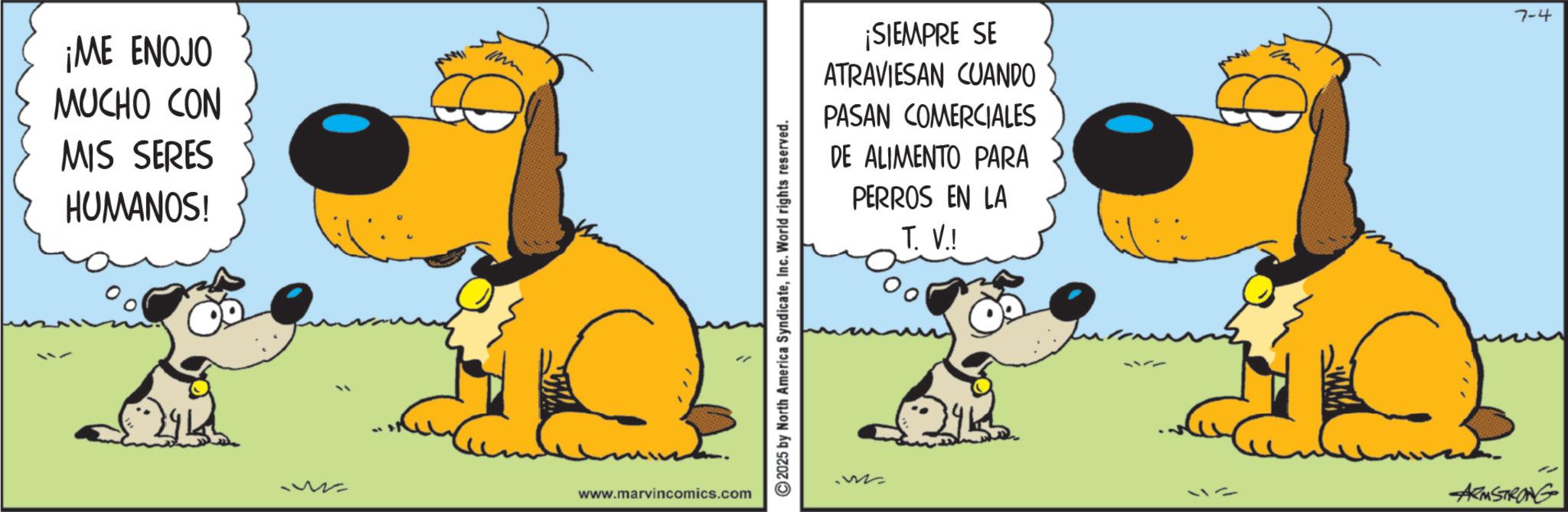 Snout OCR: ¡ME ENOJO MUCHO CON MIS SERES HUMANOS! www.marvincomics.com 2025 by North America SyndicateInc. World rights reserved. ¡SIEMPRE SE ATRAVIESAN CUANDO PASAN COMERCIALES DE ALIMENTO PARA PERROS EN LA T. V.! 1177 ARMSTRONG 7-4 ¡ ME ENOJO MUCHO CON MIS SERES HUMANOS ! www.marvincomics.com 2025 by North America SyndicateInc. World rights reserved . ¡ SIEMPRE SE ATRAVIESAN CUANDO PASAN COMERCIALES DE ALIMENTO PARA PERROS EN LA T. V. ! 1177 ARMSTRONG 7-4