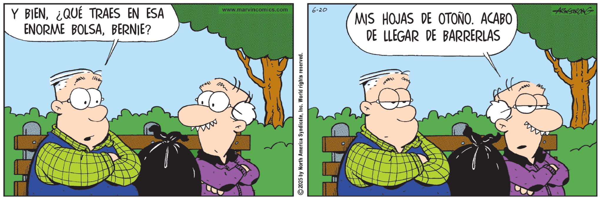 Fictional character OCR: Y BIEN¿QUÉ TRAES EN ESA ENORME BOLSABERNIE? ium www.marvincomics.com 6-20 M 2025 by North America SyndicateInc. World rights reserved. MIS HOJAS DE OTOÑO. ACABO DE LLEGAR DE BARRERLAS ARMSTRONG am Y BIEN¿ QUÉ TRAES EN ESA ENORME BOLSABERNIE ? ium www.marvincomics.com 6-20 M 2025 by North America SyndicateInc. World rights reserved . MIS HOJAS DE OTOÑO . ACABO DE LLEGAR DE BARRERLAS ARMSTRONG am