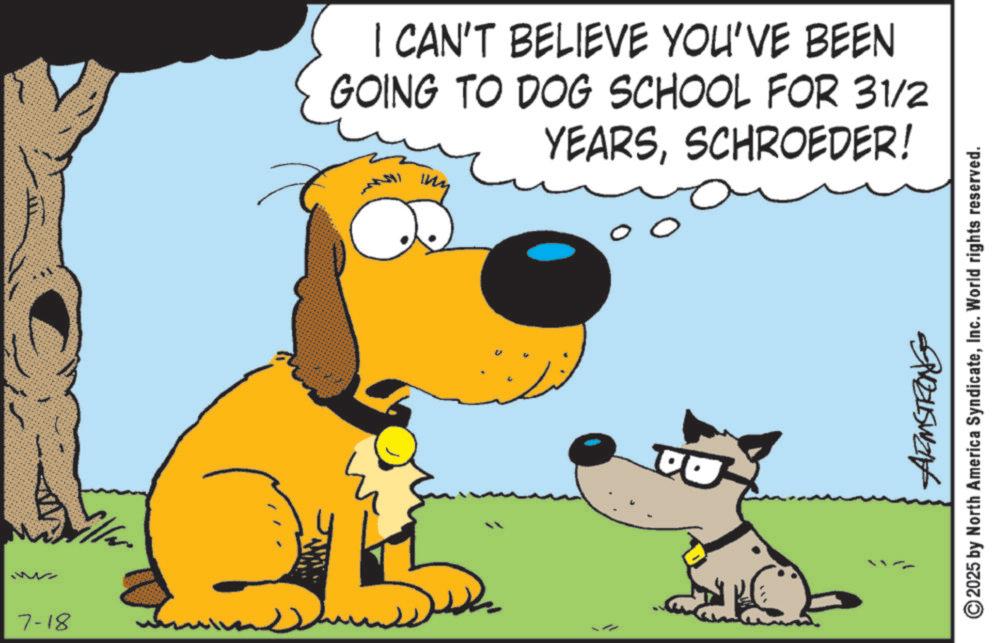 Clip art OCR: 7-18 I CAN'T BELIEVE YOU'VE BEEN GOING TO DOG SCHOOL FOR 31/2 YEARSSCHROEDER! ??????? 00 BUSWE 2025 by North America SyndicateInc. World rights reserved. 7-18 I CAN'T BELIEVE YOU'VE BEEN GOING TO DOG SCHOOL FOR 31/2 YEARSSCHROEDER ! ??????? 00 BUSWE 2025 by North America SyndicateInc. World rights reserved .
