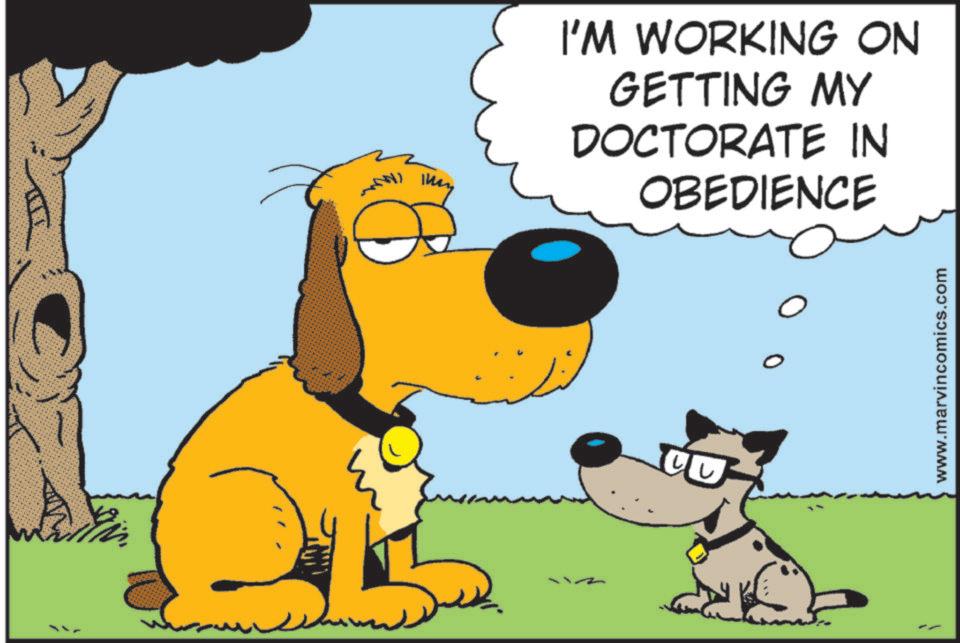 Graphics OCR: I'M WORKING ON GETTING MY DOCTORATE IN OBEDIENCE CO 0 ? www.marvincomics.com I'M WORKING ON GETTING MY DOCTORATE IN OBEDIENCE CO 0 ? www.marvincomics.com
