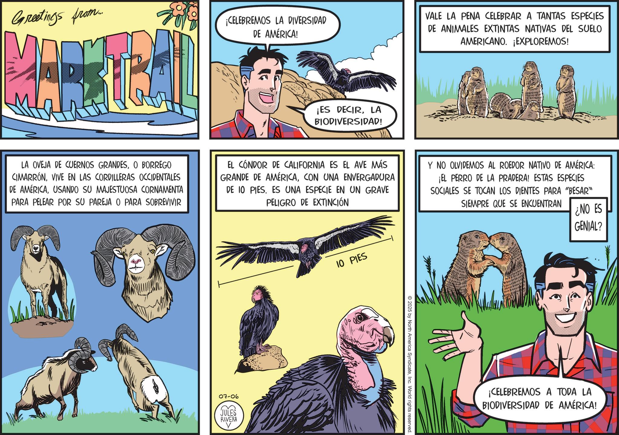 Animated cartoon OCR: Greetings from... xxx ???? ¡CELEBREMOS LA DIVERSIDAD DE AMÉRICA! VALE LA PENA CELEBRAR A TANTAS ESPECIES DE ANIMALES EXTINTAS NATIVAS DEL SUELO AMERICANO. ¡EXPLOREMOS! ¡ES DECIRLA BIODIVERSIDAD! LA OVEJA DE CUERNOS GRANDESO BORREGO CIMARRONVIVE EN LAS CORDILLERAS OCCIDENTALES DE AMÉRICAUSANDO SU MAJESTUOSA CORNAMENTA PARA PELEAR POR SU PAREJA O PARA SOBREVIVIR EL CÓNDOR DE CALIFORNIA ES EL AVE MÁS GRANDE DE AMÉRICACON UNA ENVERGADURA DE 10 PIES. ES UNA ESPECIE EN UN GRAVE PELIGRO DE EXTINCIÓN Y NO OLVIDEMOS AL ROEDOR NATIVO DE AMÉRICA: ¡EL PERRO DE LA PRADERA! ESTAS ESPECIES SOCIALES SE TOCAN LOS DIENTES PARA "BESAR" SIEMPRE QUE SE ENCUENTRAN 07-06 JULES RIVERA 10 PIES 2025 by North America SyndicateInc. World rights reserved ¿NO ES GENIAL? ¡CELEBREMOS A TODA LA BIODIVERSIDAD DE AMÉRICA! Greetings from ... xxx ???? ¡ CELEBREMOS LA DIVERSIDAD DE AMÉRICA ! VALE LA PENA CELEBRAR A TANTAS ESPECIES DE ANIMALES EXTINTAS NATIVAS DEL SUELO AMERICANO . ¡ EXPLOREMOS ! ¡ ES DECIRLA BIODIVERSIDAD ! LA OVEJA DE CUERNOS GRANDESO BORREGO CIMARRONVIVE EN LAS CORDILLERAS OCCIDENTALES DE AMÉRICAUSANDO SU MAJESTUOSA CORNAMENTA PARA PELEAR POR SU PAREJA O PARA SOBREVIVIR EL CÓNDOR DE CALIFORNIA ES EL AVE MÁS GRANDE DE AMÉRICACON UNA ENVERGADURA DE 10 PIES . ES UNA ESPECIE EN UN GRAVE PELIGRO DE EXTINCIÓN Y NO OLVIDEMOS AL ROEDOR NATIVO DE AMÉRICA : ¡ EL PERRO DE LA PRADERA ! ESTAS ESPECIES SOCIALES SE TOCAN LOS DIENTES PARA " BESAR " SIEMPRE QUE SE ENCUENTRAN 07-06 JULES RIVERA 10 PIES 2025 by North America SyndicateInc. World rights reserved ¿ NO ES GENIAL ? ¡ CELEBREMOS A TODA LA BIODIVERSIDAD DE AMÉRICA !
