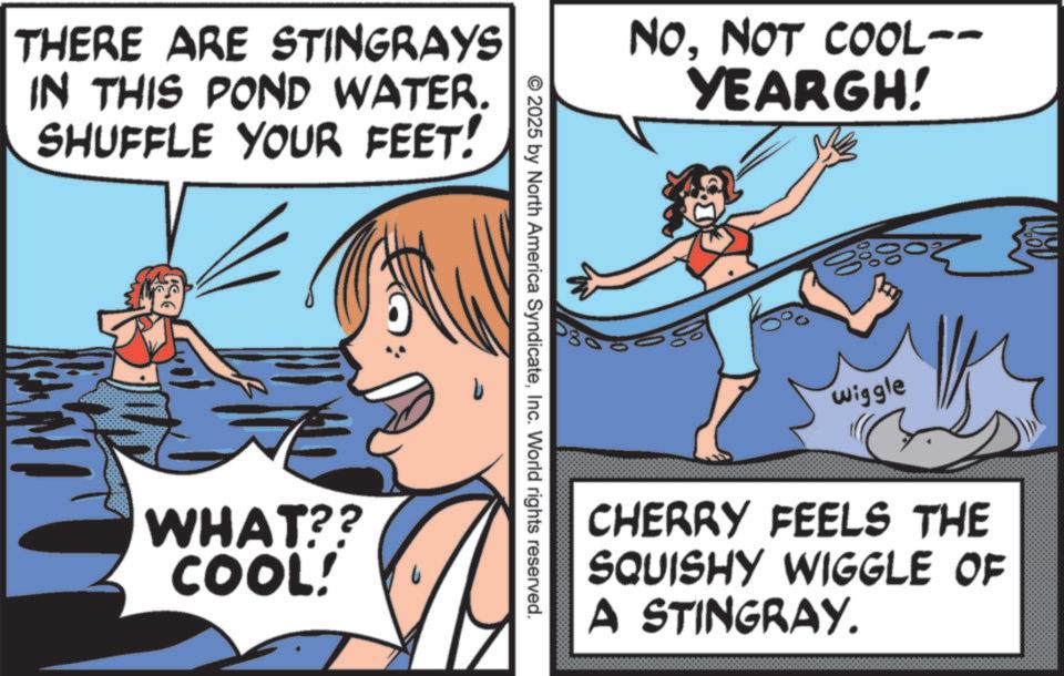 Swimming OCR: THERE ARE STINGRAYS IN THIS POND WATER. SHUFFLE YOUR FEET! WHAT?? COOL! NONOT COOL-- YEARGH! ©2025 by North America SyndicateInc. World rights reserved. b wiggle CHERRY FEELS THE SQUISHY WIGGLE OF A STINGRAY. THERE ARE STINGRAYS IN THIS POND WATER . SHUFFLE YOUR FEET ! WHAT ?? COOL ! NONOT COOL-- YEARGH ! © 2025 by North America SyndicateInc. World rights reserved . b wiggle CHERRY FEELS THE SQUISHY WIGGLE OF A STINGRAY .