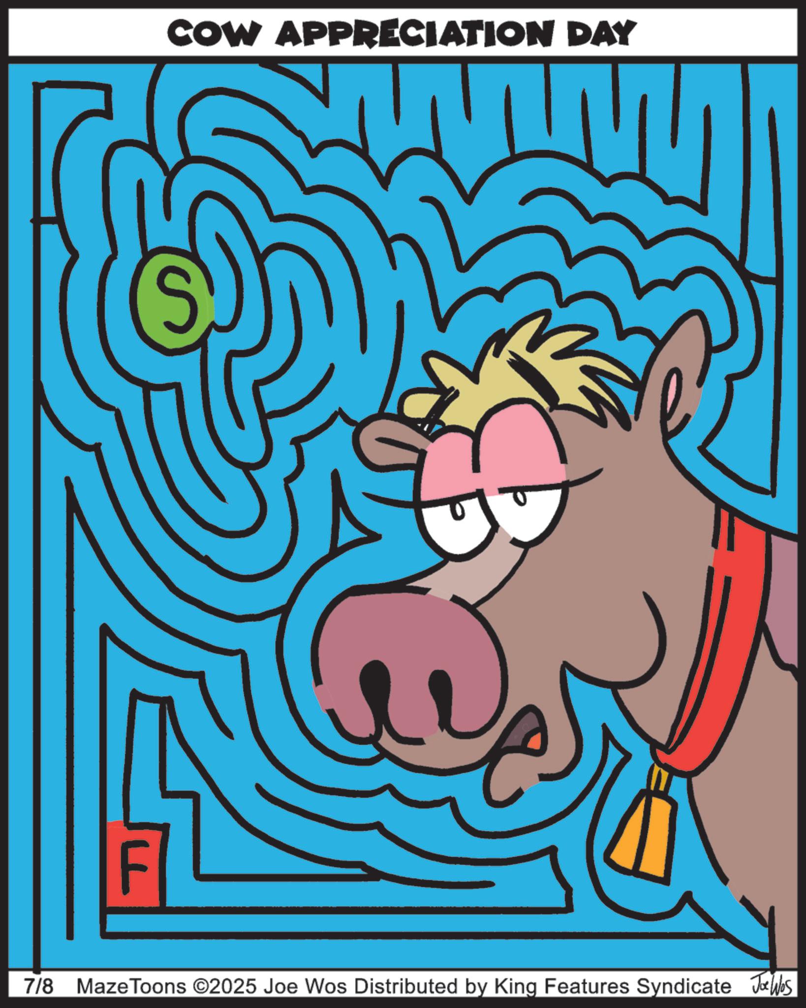 Graphic design OCR: COW APPRECIATION DAY 7/8 MazeToons ©2025 Joe Wos Distributed by King Features Syndicate Joe Was COW APPRECIATION DAY 7/8 MazeToons © 2025 Joe Wos Distributed by King Features Syndicate Joe Was
