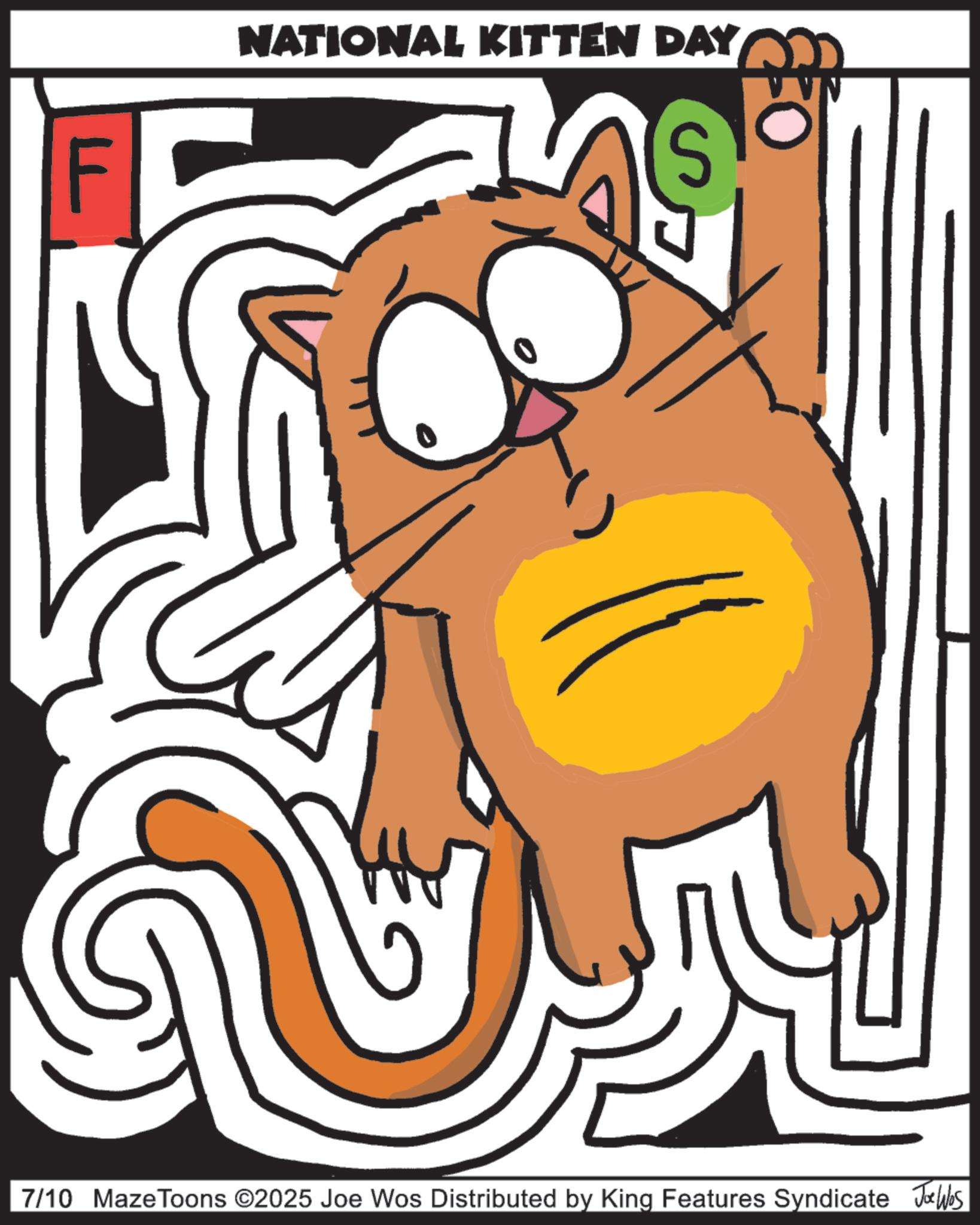 Cat OCR: NATIONAL KITTEN DAY 7/10 MazeToons ©2025 Joe Wos Distributed by King Features Syndicate Joe Was NATIONAL KITTEN DAY 7/10 MazeToons © 2025 Joe Wos Distributed by King Features Syndicate Joe Was