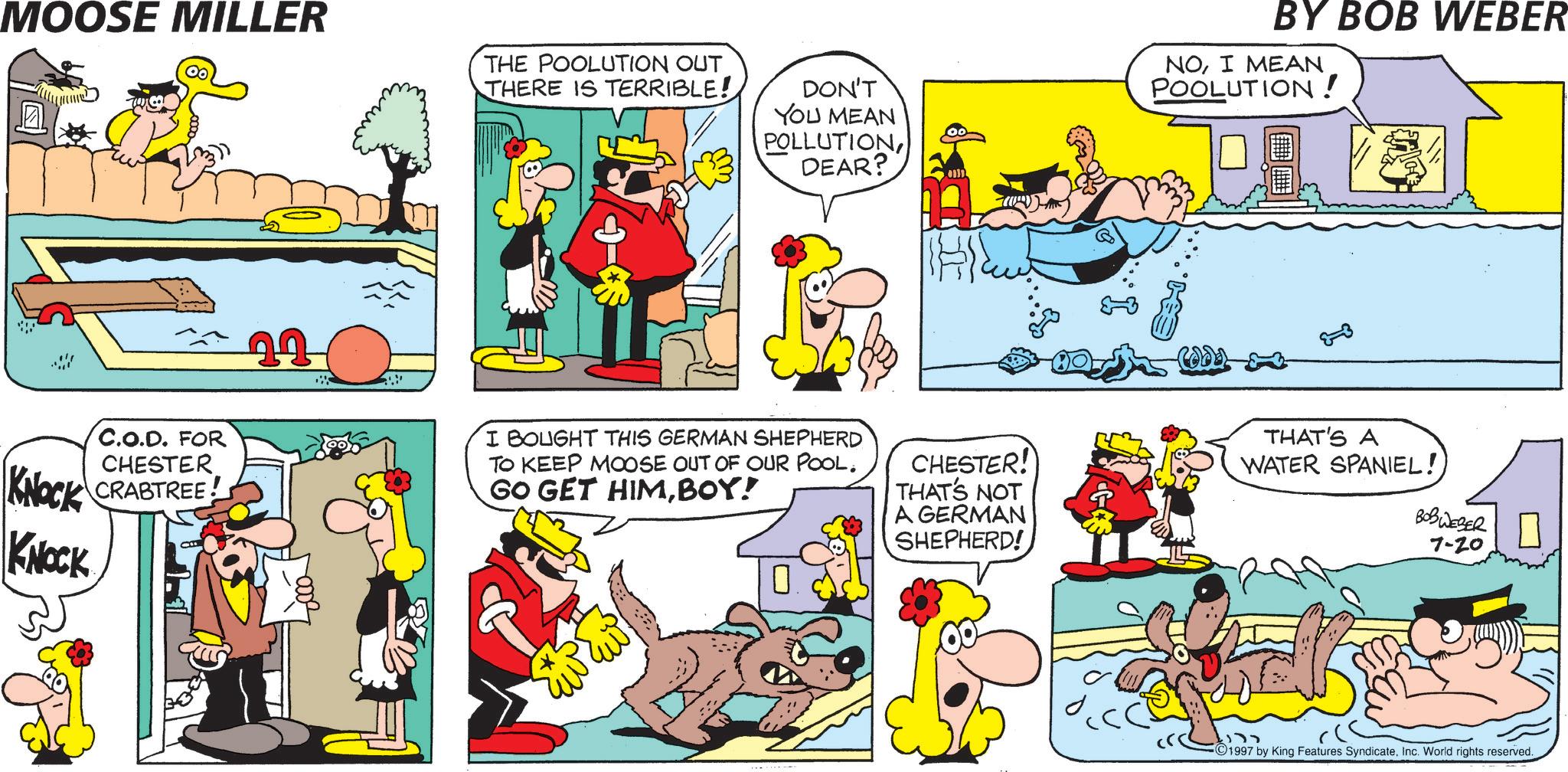 Gesture OCR: MOOSE MILLER THE POOLUTION OUT THERE IS TERRIBLE! DON'T YOU MEAN POLLUTIONDEAR? KNOCK KNOCK C.O.D. FOR CHESTER CRABTREE! 44 00 ???? BY BOB WEBER NOI MEAN POOLUTION! I BOUGHT THIS GERMAN SHEPHERD TO KEEP MOOSE OUT OF OUR POOL. GO GET HIMBOY! CHESTER! THAT'S NOT A GERMAN SHEPHERD! THAT'S A WATER SPANIEL! BOBWEBER 7-20 1997 by King Features SyndicateInc. World rights reserved. MOOSE MILLER THE POOLUTION OUT THERE IS TERRIBLE ! DON'T YOU MEAN POLLUTIONDEAR ? KNOCK KNOCK C.O.D. FOR CHESTER CRABTREE ! 44 00 ???? BY BOB WEBER NOI MEAN POOLUTION ! I BOUGHT THIS GERMAN SHEPHERD TO KEEP MOOSE OUT OF OUR POOL . GO GET HIMBOY ! CHESTER ! THAT'S NOT A GERMAN SHEPHERD ! THAT'S A WATER SPANIEL ! BOBWEBER 7-20 1997 by King Features SyndicateInc. World rights reserved .