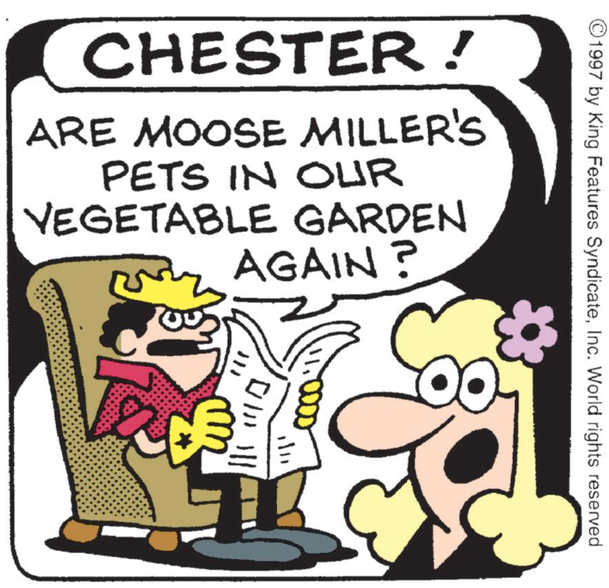 Fictional character OCR: CHESTER! ARE MOOSE MILLER'S PETS IN OUR VEGETABLE GARDEN AGAIN? 1110 ©1997 by King Features SyndicateInc. World rights reserved CHESTER ! ARE MOOSE MILLER'S PETS IN OUR VEGETABLE GARDEN AGAIN ? 1110 © 1997 by King Features SyndicateInc. World rights reserved