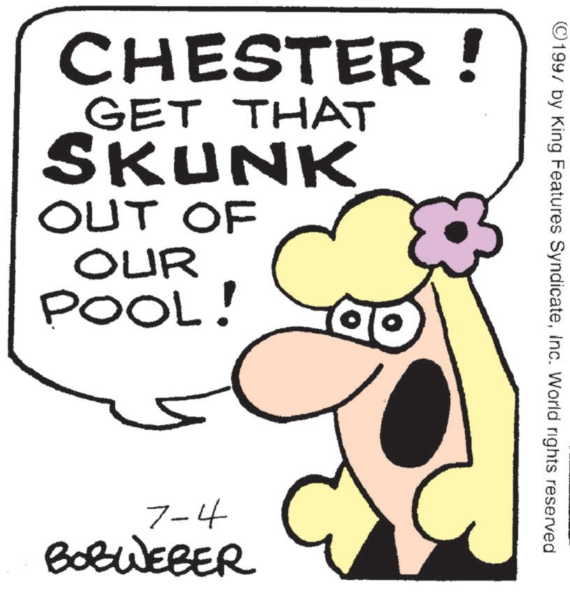 Pleased OCR: ©1997 by King Features SyndicateInc. World rights reserved CHESTER! GET THAT SKUNK OUT OF OUR POOL! 7-4 BOBWEBER © 1997 by King Features SyndicateInc. World rights reserved CHESTER ! GET THAT SKUNK OUT OF OUR POOL ! 7-4 BOBWEBER